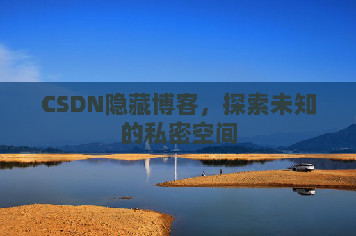 CSDN隐藏博客，探索未知的私密空间